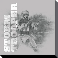 STAR WARS - Canvas 40X40 '38mm' - Episode VII - Snowtrooper Grey