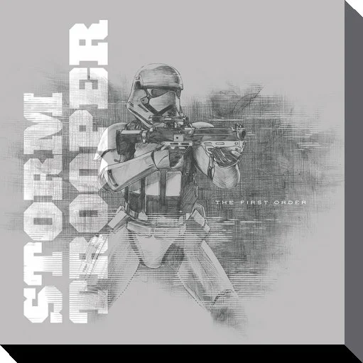 STAR WARS - Canvas 40X40 '38mm' - Episode VII - Snowtrooper Grey