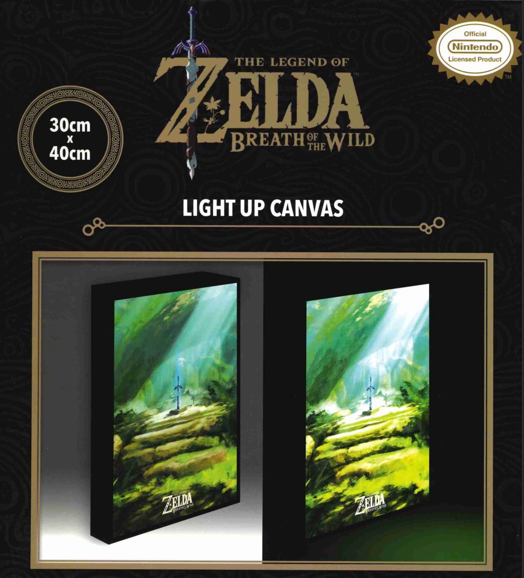 THE LEGEND OF ZELDA - Master Sword - Canvas Lumineux 40X30 Cm