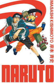 NARUTO - Edition Hokage - Tome 11