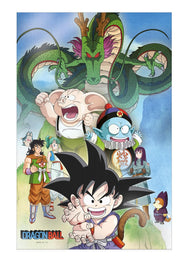 DRAGON BALL - Shenron & Héros - Poster 3D - 58x38cm