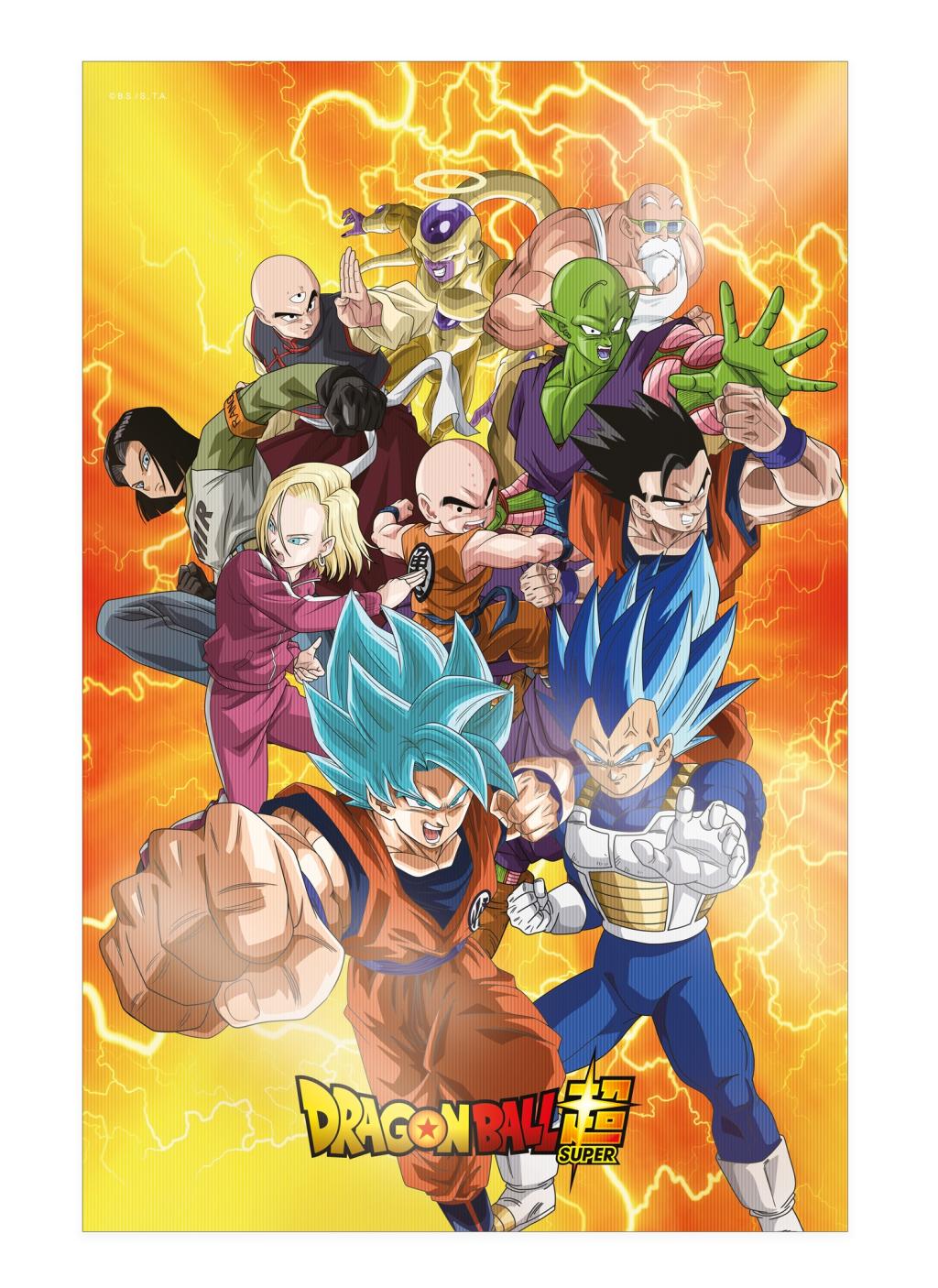 DRAGON BALL SUPER - Survivants - Poster 3D - 58x38cm
