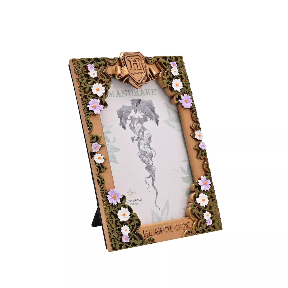 HARRY POTTER - Herbologie - Cadre Photo 3D